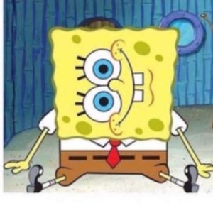 Meet your Posher, Ava